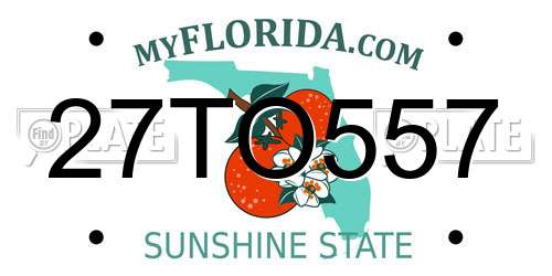 27TO557 Florida License Plate