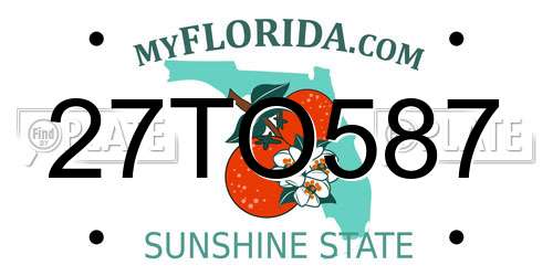 27TO587 Florida License Plate