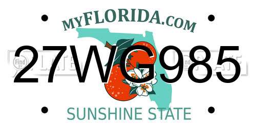 27WG985 Florida License Plate