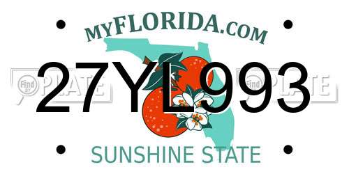 27YL993 Florida License Plate