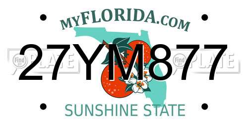 27YM877 Florida License Plate