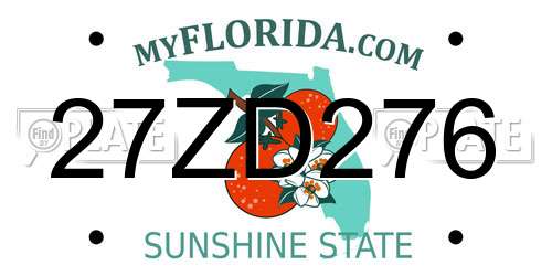27ZD276 Florida License Plate