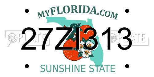 27ZI313 Florida License Plate