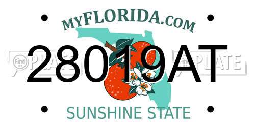 28019AT Florida License Plate