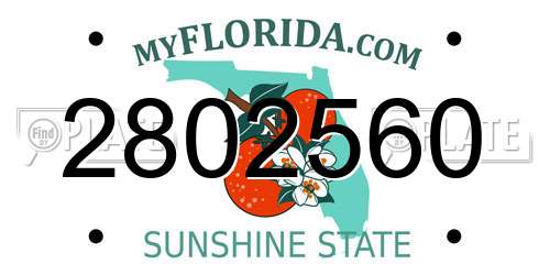2802560 Florida License Plate