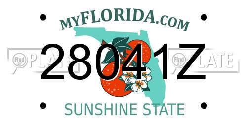 28041Z Florida License Plate