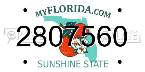 2807560 Florida License Plate