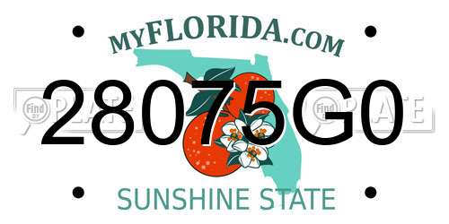 28075G0 Florida License Plate