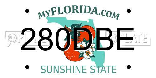 280DBE Florida License Plate
