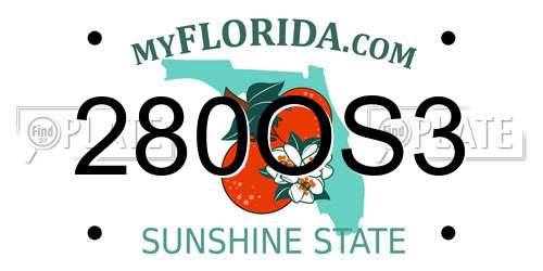 280OS3 Florida License Plate