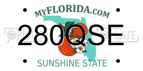 280QSE Florida License Plate
