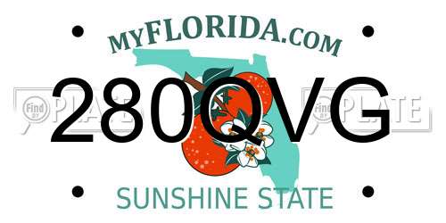 280QVG Florida License Plate