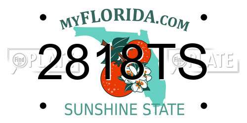 2818TS Florida License Plate