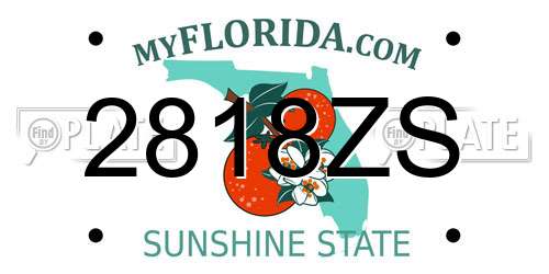 2818ZS Florida License Plate