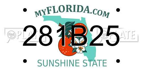 281B25 Florida License Plate
