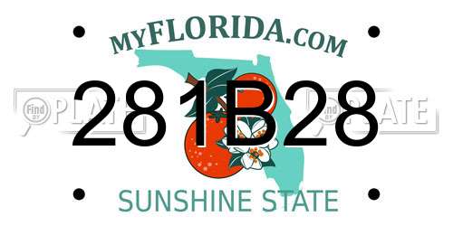 281B28 Florida License Plate