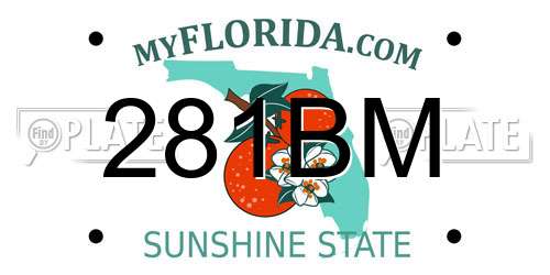 281BM Florida License Plate