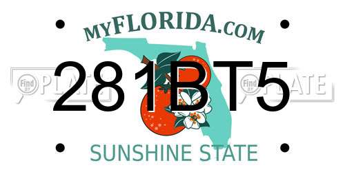 281BT5 Florida License Plate