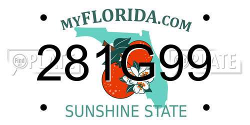 281G99 Florida License Plate