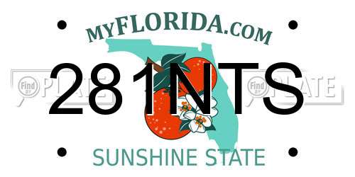 281NTS Florida License Plate