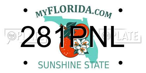 281PNL Florida License Plate