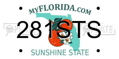 281STS Florida License Plate