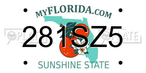 281SZ5 Florida License Plate