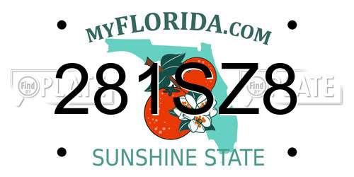 281SZ8 Florida License Plate