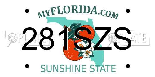 281SZS Florida License Plate