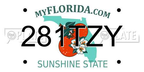 281TZY Florida License Plate