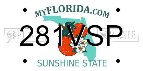 281VSP Florida License Plate