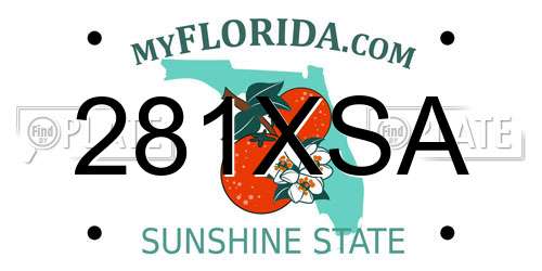 281XSA Florida License Plate