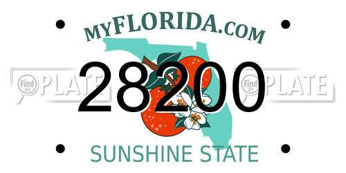 28200 Florida License Plate