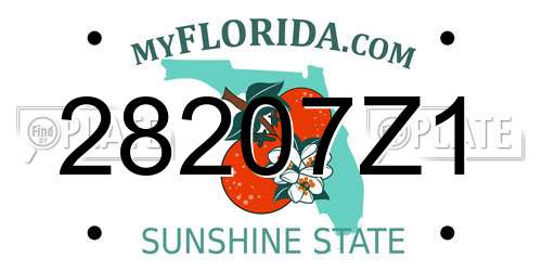 28207Z1 Florida License Plate