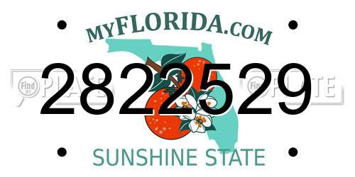 2822529 Florida License Plate