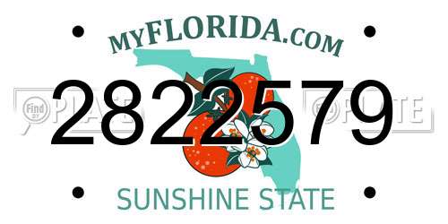 2822579 Florida License Plate
