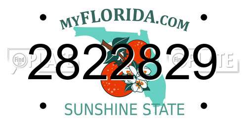 2822829 Florida License Plate