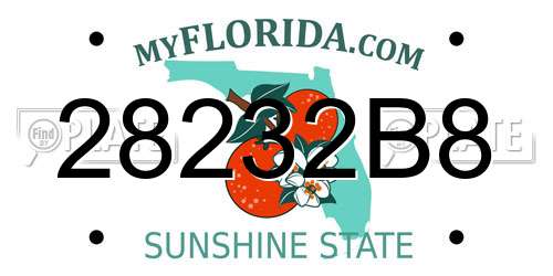 28232B8 Florida License Plate