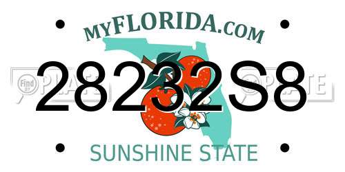 28232S8 Florida License Plate