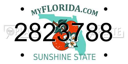 2823788 Florida License Plate