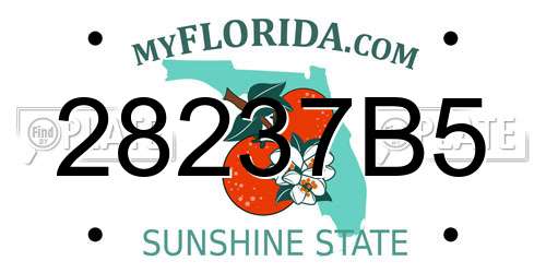 28237B5 Florida License Plate