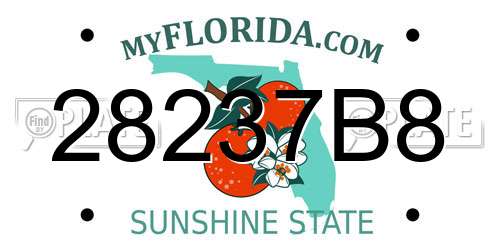 28237B8 Florida License Plate
