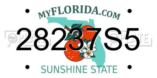 28237S5 Florida License Plate