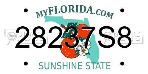 28237S8 Florida License Plate