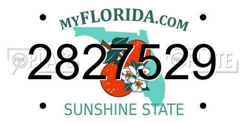 2827529 Florida License Plate