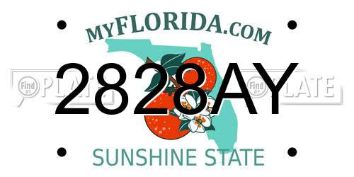2828AY Florida License Plate