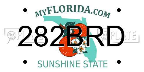 282BRD Florida License Plate