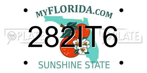282IT6 Florida License Plate