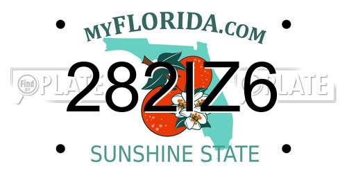 282IZ6 Florida License Plate
