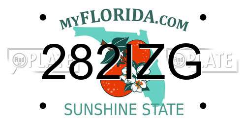 282IZG Florida License Plate